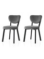 Set scaune 2 piese, Nmobb, Beta, Cadru: 100% FIER, Negru / Antracit