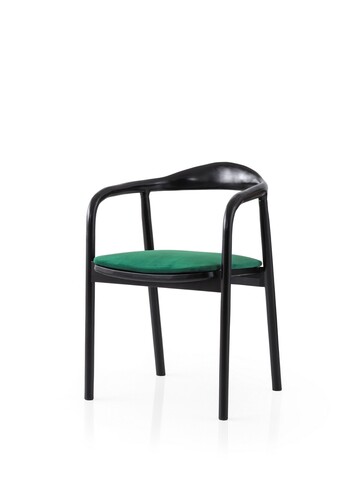 Scaun, Nmobb, Palm, 63x79x63 cm, Lemn de fag, Negru/Verde