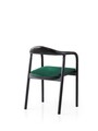 Scaun, Nmobb, Palm, 63x79x63 cm, Lemn de fag, Negru/Verde