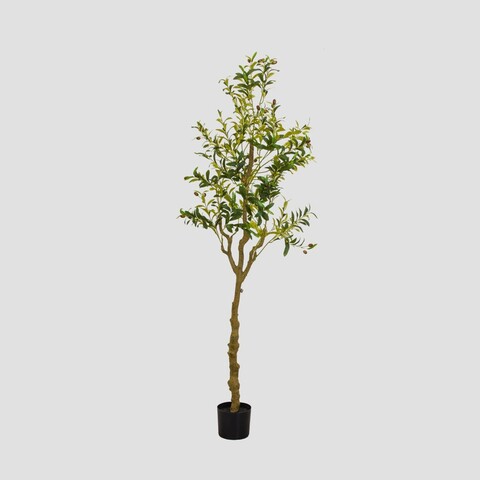 Planta artificiala maslin Ailia, Homla, 180 cm, plastic, verde