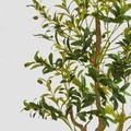 Planta artificiala maslin Ailia, Homla, 180 cm, plastic, verde