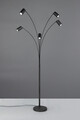 Lampadar Marley, TRIO, 80x55x200 cm, 10W, 5x GU10, metal, negru mat