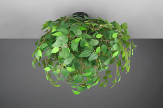 Verde, Plafoniera 70x73 cm