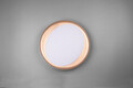 Plafoniera Zeta, RL, 48.5x7 cm, 24W, 1x SMD, plastic, negru