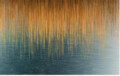 Covor cu print, Fushion, Heinner, 160x230 cm, poliester, multicolor
