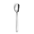Set tacamuri 24 piese Pontis, Amefa, 6 persoane, inox 18/0, argintiu