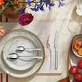 Set tacamuri 24 piese Pontis, Amefa, 6 persoane, inox 18/0, argintiu