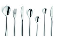 Set tacamuri 42 piese in cutie cadou Gaia All You Need, Amefa, 6 persoane, inox 18/0, argintiu