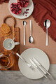 Set tacamuri 42 piese in cutie cadou Gaia All You Need, Amefa, 6 persoane, inox 18/0, argintiu