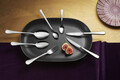 Set tacamuri 42 piese Rome All You Need, Amefa, 6 persoane, inox 18/0, argintiu