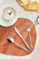 Set tacamuri 24 piese in cutie de lemn Florence, Amefa, 6 persoane, inox 18/10, argintiu