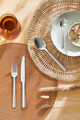 Set tacamuri 24 piese in cutie de lemn Ventura, Amefa, 6 persoane, inox 18/10, argintiu