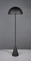 Lampadar Alfie, TRIO, 40x152 cm, 40W, 1x E27, metal, negru mat