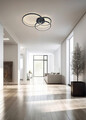 Plafoniera Aaron, TRIO, 79x64x10.5 cm, 36.5W, 1x SMD LED, metal, antracit