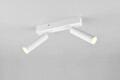 Plafoniera Ambala, TRIO, 26x13x17.5 cm, 5.5W, 2x SMD, metal, alb mat