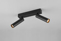 Plafoniera Ambala, TRIO, 26x4x17.5 cm, 5.5W, 2x SMD, metal, negru mat