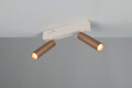 Plafoniera Ambala, TRIO, 26x4x17.5 cm, 5.5W, 2x SMD, metal, alb/aramiu