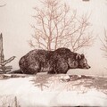 Lenjerie de pat pentru o persoana Urso, Homla, 2 piese, 140x200 cm, bumbac, multicolor