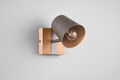 Aplica de perete Bell, TRIO, 11x11 cm, 25W, 1x E14, metal, gri/natur