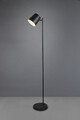 Lampadar Blake, RL, 20x125 cm, 5W, 1x SMD LED, metal, negru mat