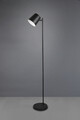 Lampadar Blake, RL, 20x125 cm, 5W, 1x SMD LED, metal, negru mat