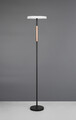Lampadar Celeste, TRIO, 33x160 cm, 15W, 1x SMD LED, metal, negru/gri