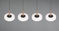 Lustra Celeste, TRIO, 115x22x200 cm, 7W, 4x SMD LED, metal, negru/alb