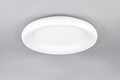 Plafoniera Cardona, TRIO, 62x10 cm, 38W, 1x SMD LED, metal, alb mat