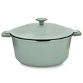 Oala cu capac Fern, Ambition, 28 cm, 6.6 L, aluminiu, verde/negru