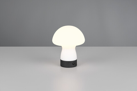 Lampa de masa Dooley, RL, 14x18 cm, 1.5W, 1x SMD, sticla, alb mat/negru