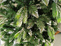 Brad artificial Christmas Deluxe by Sersimo, Diamant, 2D+3D, 250cm
