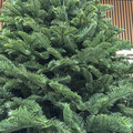 Brad artificial Christmas Deluxe by Sersimo, Alaska, verde, Mix 2D+3D, 210 cm