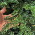 Brad artificial Christmas Deluxe by Sersimo, Alaska, verde, Mix 2D+3D, 210 cm