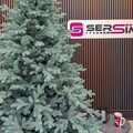 Brad artificial Christmas Deluxe by Sersimo, Viena Select argintiu, integral 3D, 250 cm