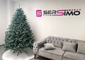 Brad artificial Christmas Deluxe by Sersimo, Alaska Select verde argintiu, integral 3D, 230 cm