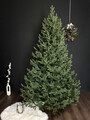Brad artificial Christmas Deluxe by Sersimo, Viena verde, 3D, 180cm