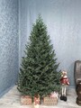 Brad artificial Christmas Deluxe by Sersimo, Viena verde, 3D, 180cm