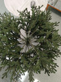 Brad artificial Christmas Deluxe by Sersimo, Viena verde, 3D, 180cm