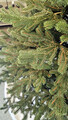 Brad artificial Christmas Deluxe by Sersimo, Viena verde, 3D, 250cm