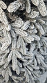Brad artificial Christmas Deluxe by Sersimo, Global nins, mix 2D+3D, 250cm