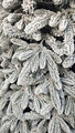 Brad artificial Christmas Deluxe by Sersimo, Global nins, mix 2D+3D, 250cm