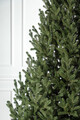 Brad artificial Christmas Deluxe by Sersimo, Viena Select, integral 3D, 230cm