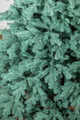 Brad artificial Christmas Deluxe by Sersimo, Kovalivka Select argintiu, integral 3D, 210 cm
