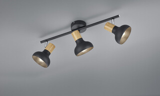 47x13.5x18.5 cm, Negru mat;Natur