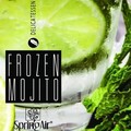 Rezerva odorizant pentru camera, Frozen Mojito, Spring Air, 250 ml