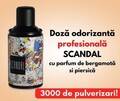 Rezerva odorizant pentru camera Scandal, Spring Air, 250 ml