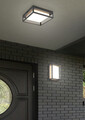 Plafoniera pentru exterior Witham, TRIO, 30x30x10 cm, 14W, 1x SMD, metal, antracit