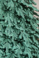 Brad artificial Christmas Deluxe by Sersimo, Laponia Select argintiu, integral 3D, 250cm