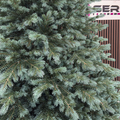 Brad artificial Christmas Deluxe by Sersimo, Alaska Select verde argintiu, integral 3D, 300 cm