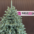 Brad artificial Christmas Deluxe by Sersimo, Alaska Select verde argintiu, integral 3D, 300 cm